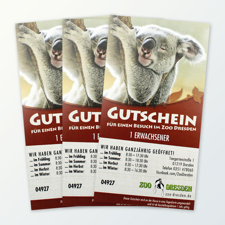 1 Erwachsenen-Tages­karte für den Zoo Dresden